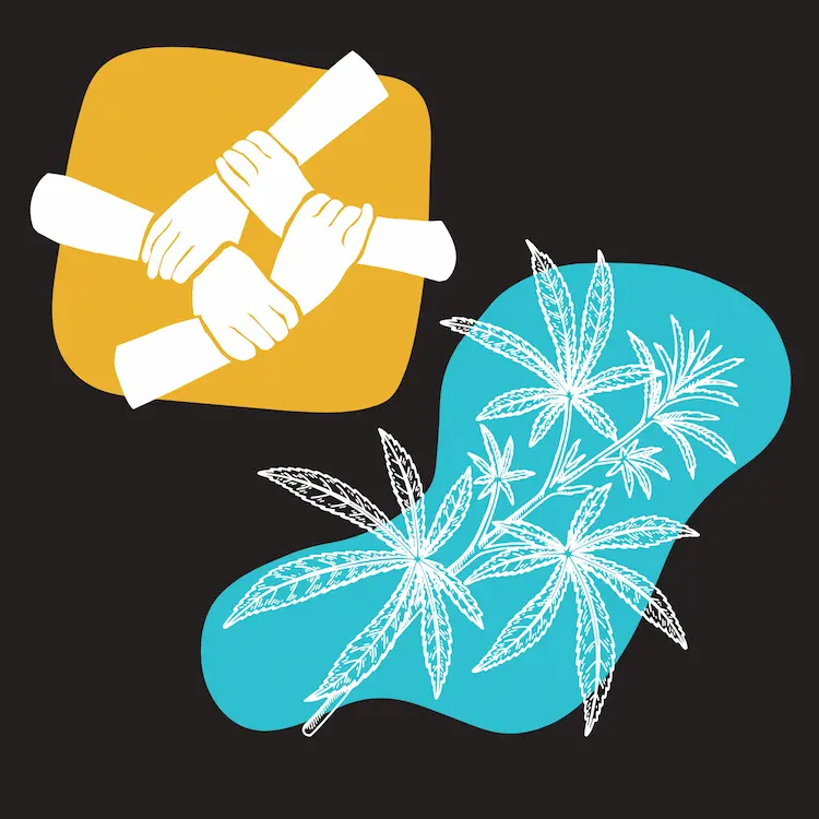 Image for Report: American Values and Beliefs on Marijuana Legalization: